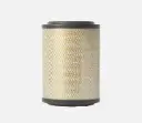 FILTRO DE AIRE DONGFENG CAPTAIN E-513 E-613